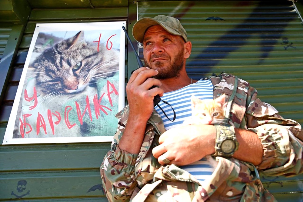 Чаще всего в зоне СВО встречаются кошки и собаки. Кошки ловят мышей в блиндажах, собаки иногда даже помогают выполнять боевые задачи. Но чаще их держат просто для радости, как некое напоминание о родном доме. По словам бойца казачьего отряда "БАРС-16" с позывным Кубай, к ним на позиции как-то пробилась худющая-худющая рыжая кошка. "Так мы ее откормили тушенкой, и она осмелела. Каждый раз после еды ложилась спать, так мы ей и дали кличку Прапорщик. Надеюсь, ее котенок будет настоящим охотником", - рассказал он.