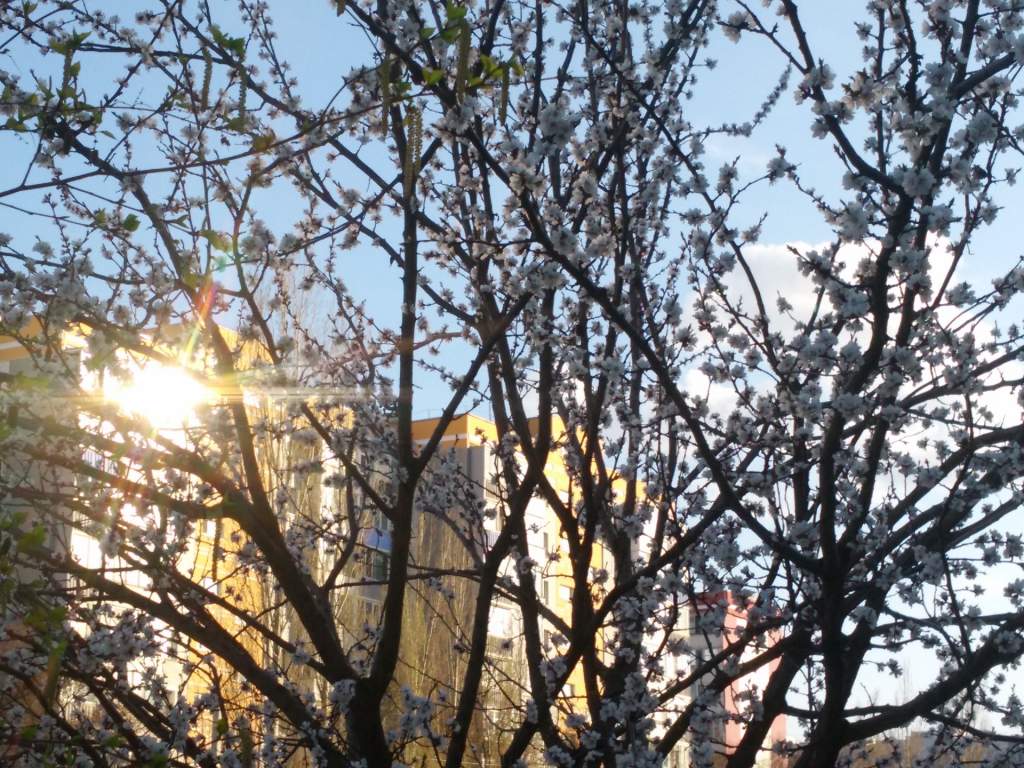Ростовская область 5 апреля. Апрель радует погодой. Погода Весенняя шепчит.