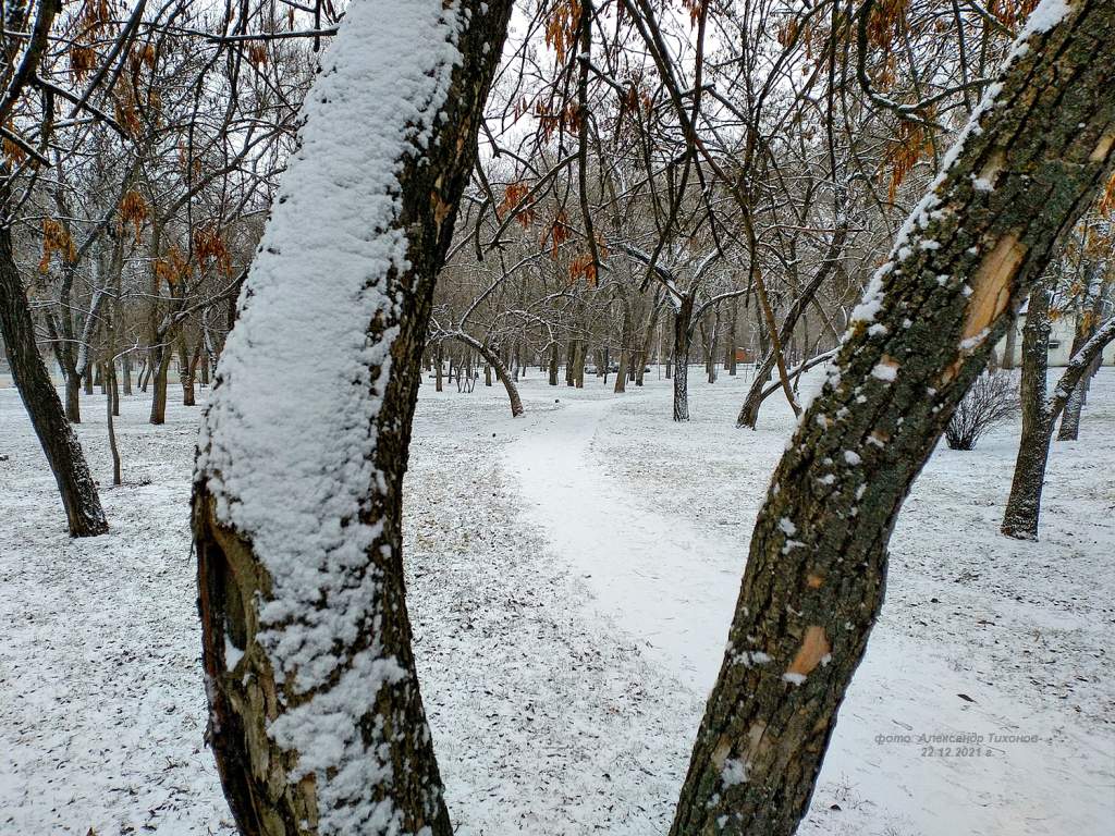 Снег встречаем. Красный снег в Волгодонске.