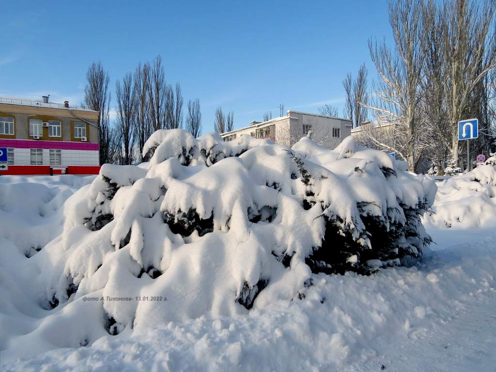 Нея зимой. Волгодонск зимой. Волгодонск зимой фото. Вот это настоящая зима.