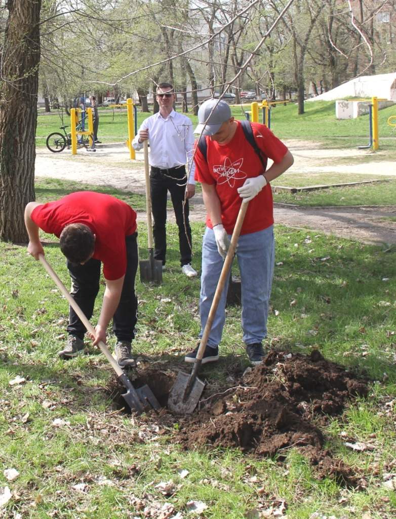 «Зеленый Атомград»: члены молодежного парламента Волгодонска посадили молодые деревья в парке Победы