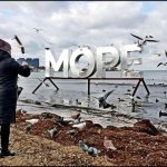 Савельев: Сезон на Черном море откроют после подтверждения безопасности пляжей